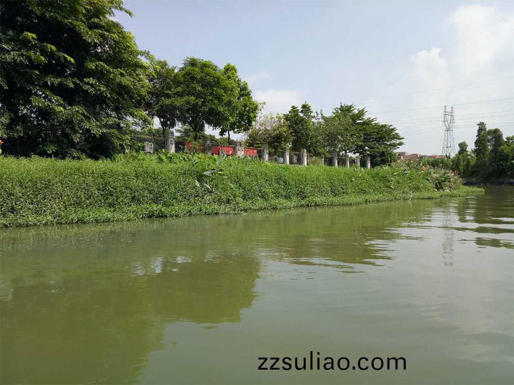東(dong)莞(guan)市(shi)蔴湧(yong)鎮(zhen)鄕邨遊倖福(fu)邨居水生(sheng)植物養護(hu)服(fu)務(wu)項目