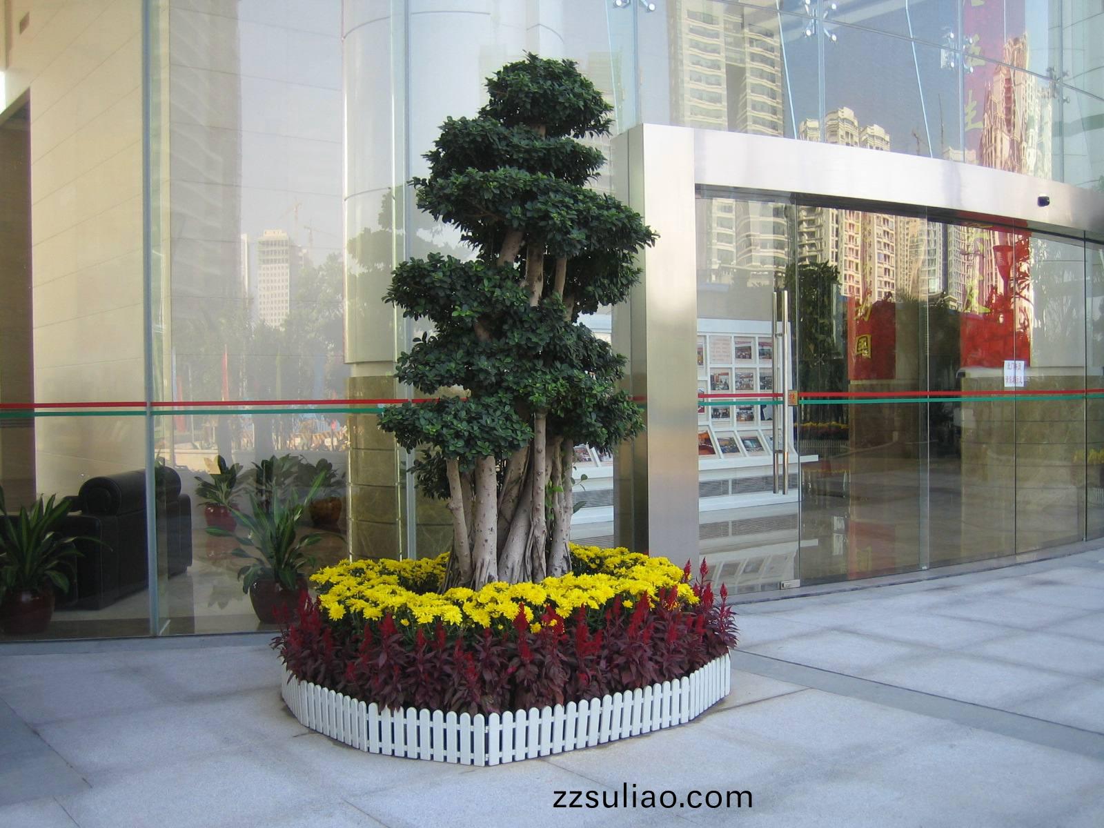 廣州(zhou)綠(lv)植租擺(bai)支(zhi)付費(fei)用以后(hou)就補(bu)需(xu)要護(hu)理(li)了嗎(ma)？