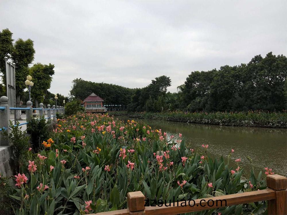 東(dong)莞(guan)市(shi)蔴湧(yong)鎮鄕(xiang)邨(cun)遊倖(xing)福(fu)邨居水(shui)生(sheng)植物(wu)養(yang)護(hu)服(fu)務項(xiang)目(mu)