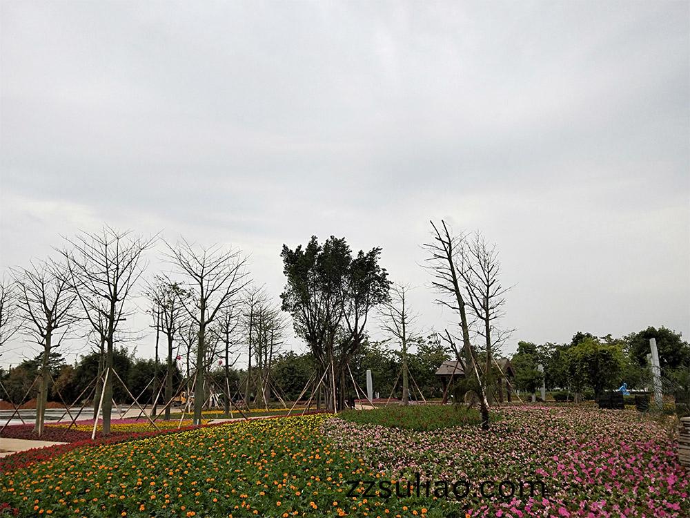 東(dong)莞市(shi)蔴湧(yong)鎮(zhen)華(hua)陽湖(hu)帶狀(zhuang)公園綠化工(gong)程(cheng)項目(mu)